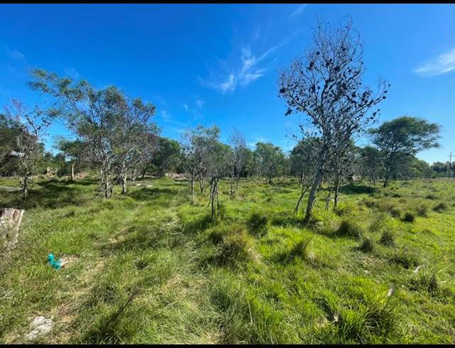 LAND FOR SALE IN GREENBUSHES